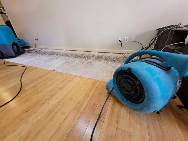 Professional Water Damage Repair technician working in Bremen, ME
